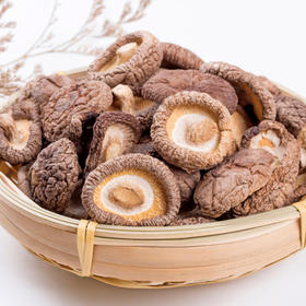 在菌屋 菌类干货