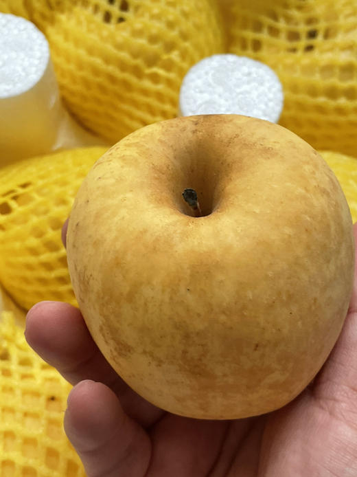 冬恋苹果冬恋日本培育成功的单品金星苹果的姊妹篇超级香脆可口