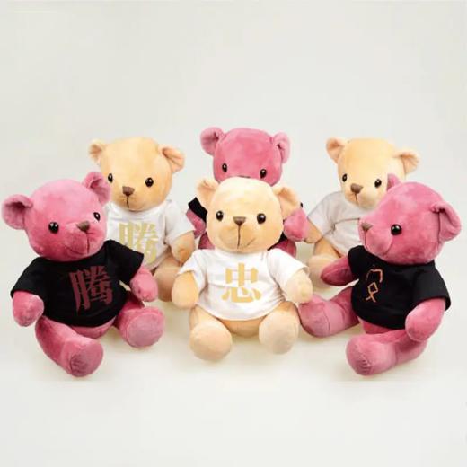 安腾忠熊 毛绒玩具布娃娃玩偶小熊公仔抱抱熊（颜色随机发货） 商品图1