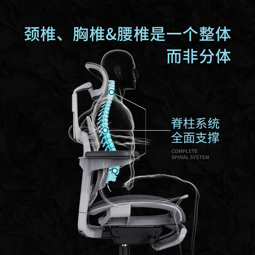 Motostuhl摩伽Verte脊柱椅二代全新升级人体工学椅减压护脊学习椅 商品图2