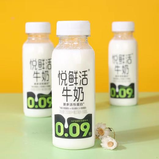 君乐宝悦鲜活牛奶5瓶 商品图2