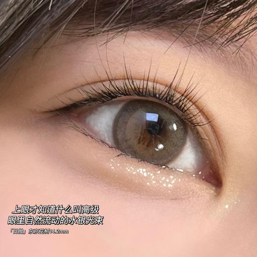 【日抛】东京花树·Cococon丨14.2mm（日抛/10片装） 商品图4