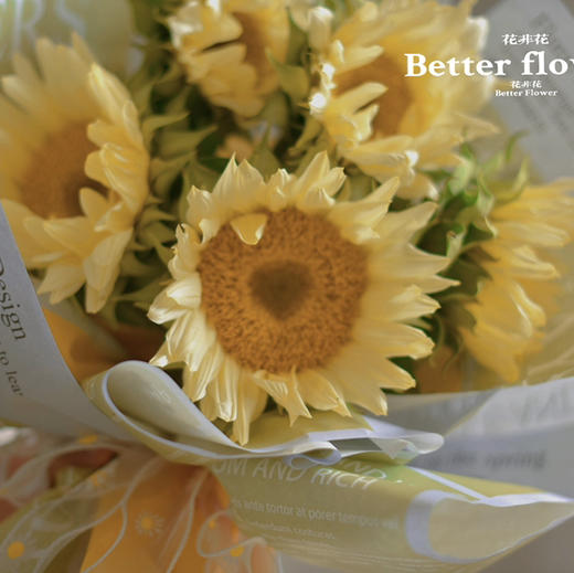 《奶茶》奶油向日葵花束（特殊花材提前一天预定） 商品图3