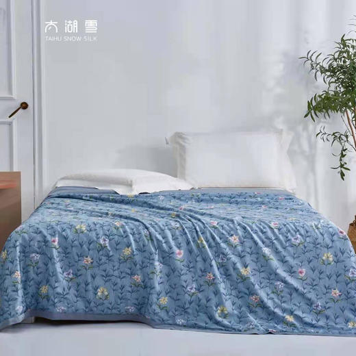 太湖雪雅棉水洗蚕丝夏被 商品图0