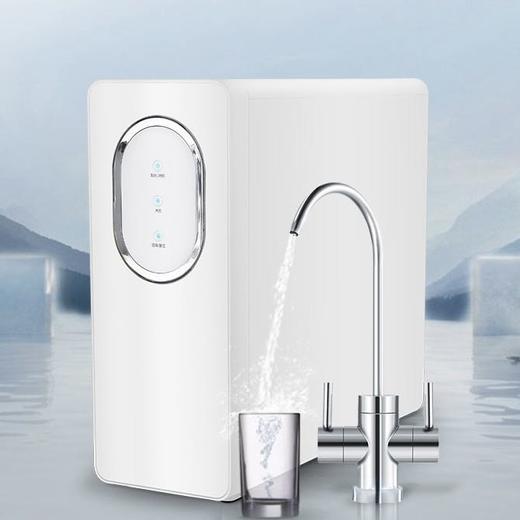 【LY】500加仑纯水机（无桶） 家用净水机 包安装 商品图0