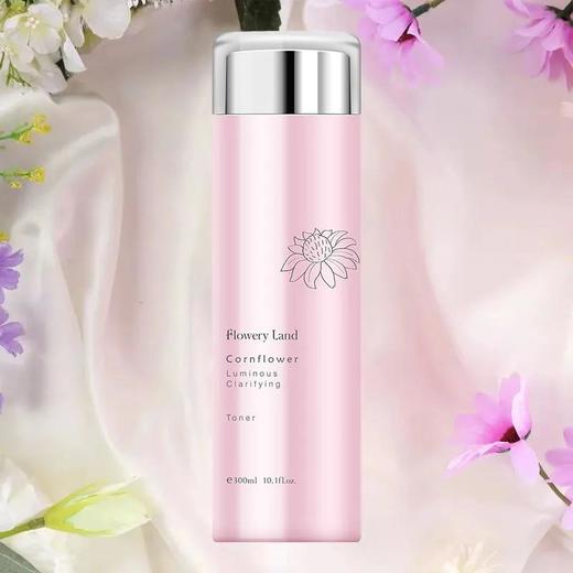 1花肌粹紫松果菊臻皙菁纯化妆水大300ml