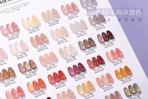 【秒杀价】48色桃花雨冰透色 商品图4