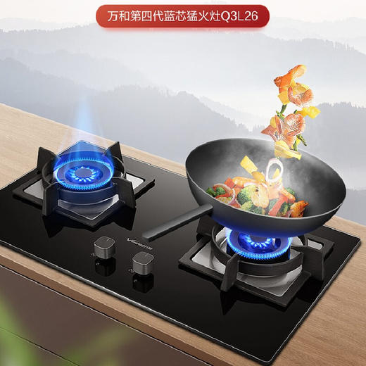 万和 Vanward 4.8KW猛火聚能易清洁熄火保护台嵌两用燃气灶JZT-Q3L26（天） 商品图1