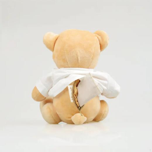 安腾忠熊 毛绒玩具布娃娃玩偶小熊公仔抱抱熊（颜色随机发货） 商品图2