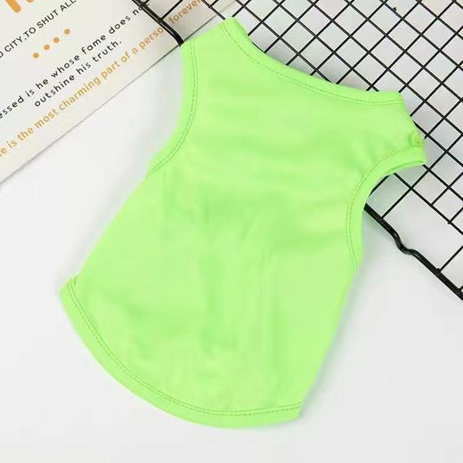 【夏季潮款宠物背心】狗狗衣服夏装 薄款大网眼狗背心 猫咪泰迪比熊博美宠物服饰 商品图12