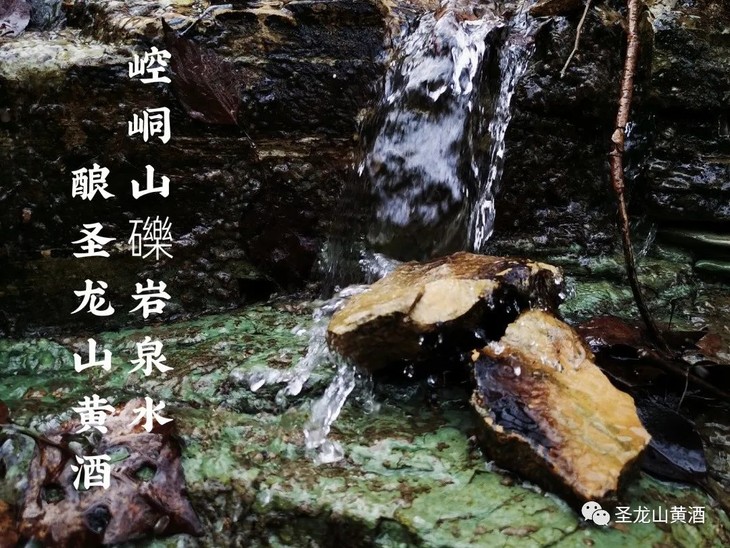 喝聖龍山黄酒，交有文化朋友”