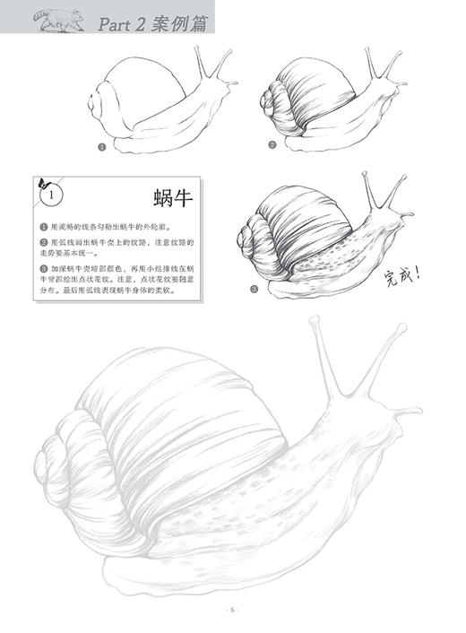 动物描摹集 商品图3