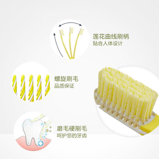 双莲螺旋磨毛牙刷（去牙渍专用型）win Lotus双莲牙刷硬毛 泰国螺旋磨毛去渍型硬毛成人牙刷支男士女士家用 商品图3