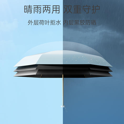 种草鸡专属 商品图3