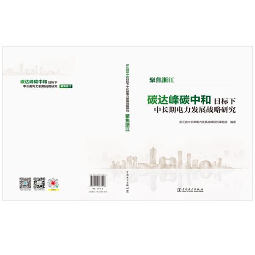 碳达峰碳中和目标下中长期电力发展战略研究——聚焦浙江 商品图2