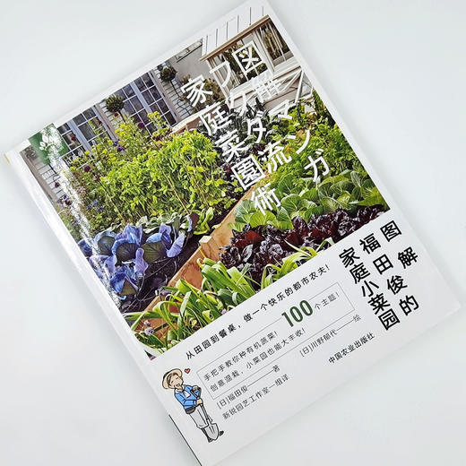 图解福田俊的家庭小菜园 【官方正版】 商品图1