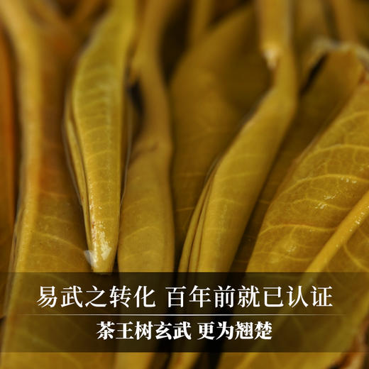 【玄武】 【单饼装无礼盒】2021年神兽系列 易武茶王树核心产区普洱生茶 商品图3
