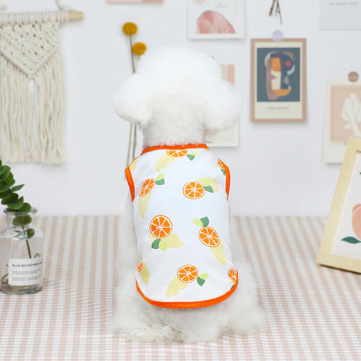 【可爱水果宠物背心】宠物狗狗衣服夏季新款泰迪狗宠物服装五色水果背心可爱薄款 商品图5