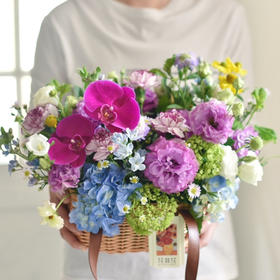 《紫鸢》蝴蝶兰绣球桔梗手提花篮