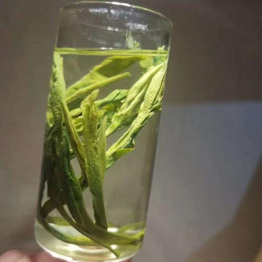 太平猴魁绿茶叶（徽韵） 商品图3