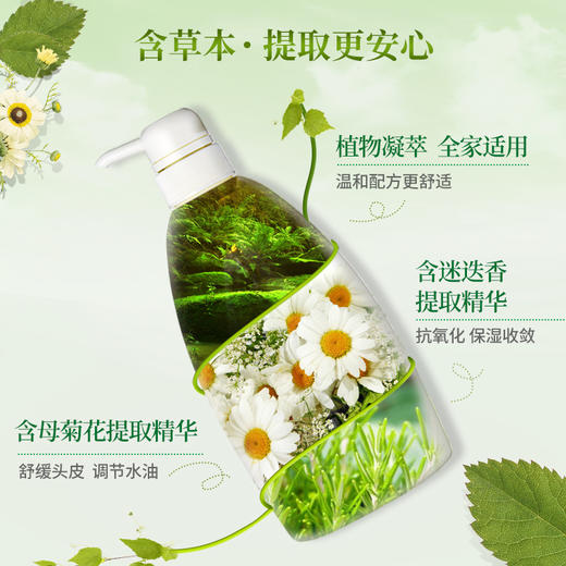 惠润柔净洗发水护发素绿-野芳香220ml无硅油洗发水男女士柔顺滋润持久留香去屑修复 商品图4