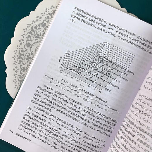 高碱煤特性及利用 商品图8