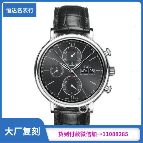 ZF厂万国柏涛菲诺系列IW391008机械男表直径42mm 商品图0