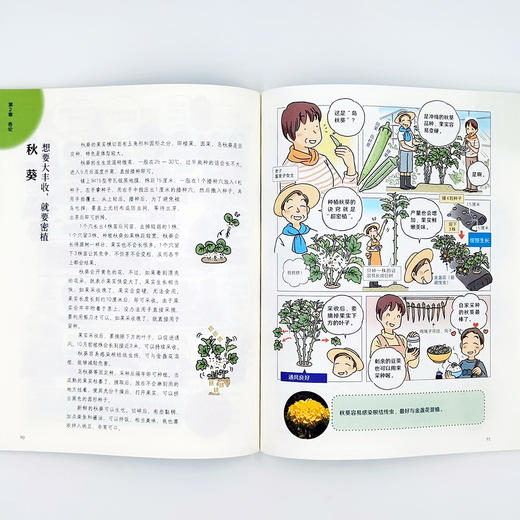 图解福田俊的家庭小菜园 【官方正版】 商品图4