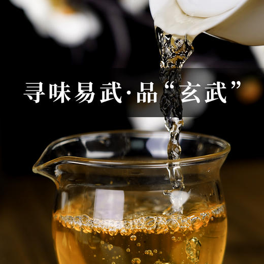 【玄武】 【单饼装无礼盒】2021年神兽系列 易武茶王树核心产区普洱生茶 商品图2