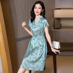 ASE-9303气质韩版优雅女士连衣裙