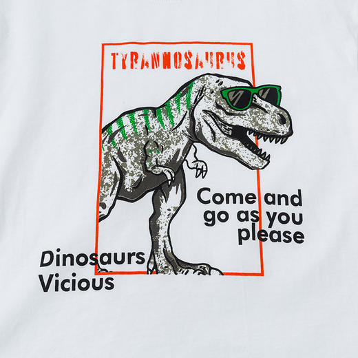 贝贝怡夏季新品儿童短袖酷帅男童恐龙T恤时尚洋气 商品图7