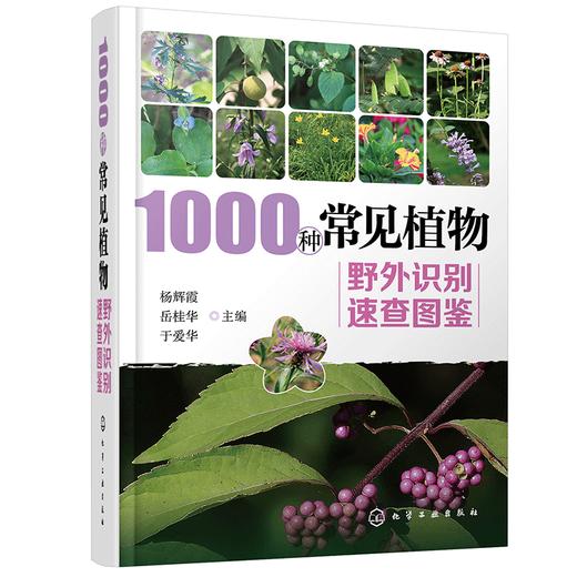 1000种常见植物野外识别速查图鉴 商品图0