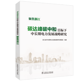 碳达峰碳中和目标下中长期电力发展战略研究——聚焦浙江