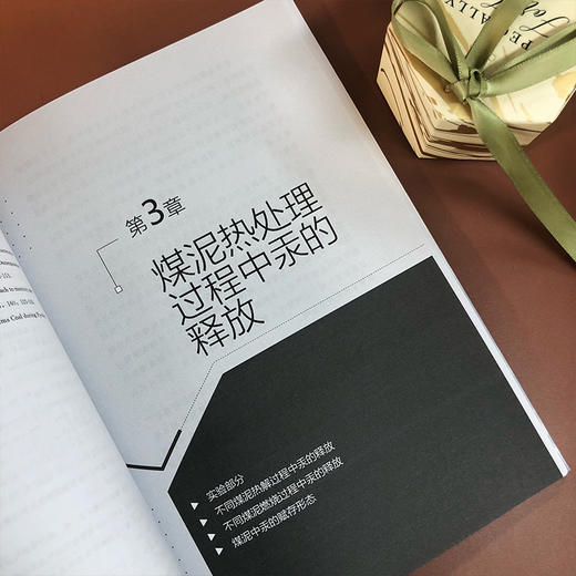 低热值煤热处理过程中汞的迁移和控制 商品图5