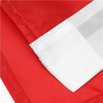 齐心 B1032 国旗 红色一个 商品图4