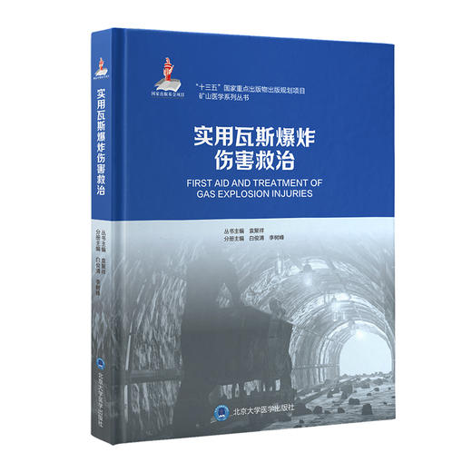 实用瓦斯爆炸伤害救治  白俊清 李树峰 主编  北医社 商品图0