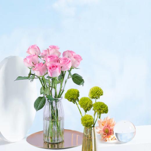 绿石竹5枝 雪山玫瑰 颜色随机 10枝 花瓶1个 花点心选