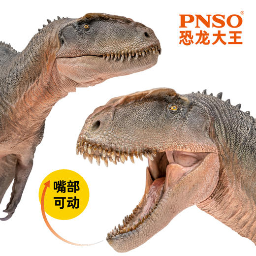 PNSO中华盗龙新川恐龙大王成长陪伴模型62 商品图3