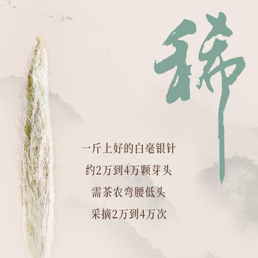 祥源茶 白茶 2022年早春特级  白毫银针  礼盒 500g 商品图1