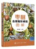 果树合理整形修剪图解系列 枣树合理整形修剪图解 本书以图文并茂的方式介绍果树整形修剪的基础 注重实用性文字言简意赅通俗易懂 商品缩略图0
