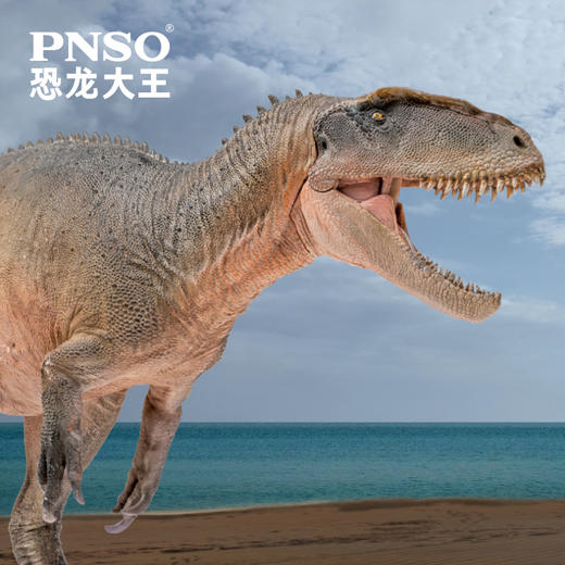 PNSO中华盗龙新川恐龙大王成长陪伴模型62 商品图4