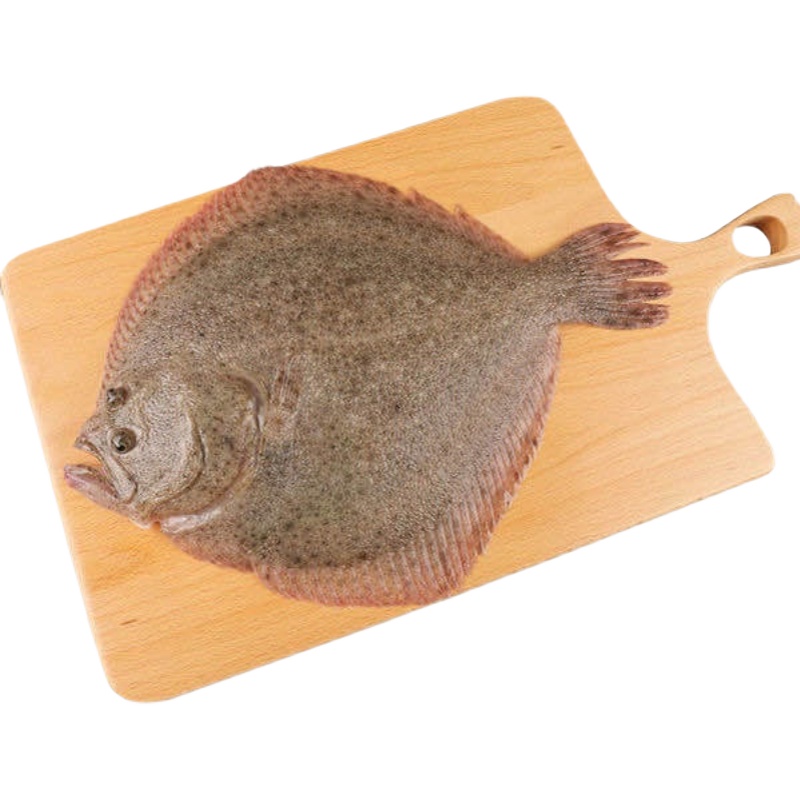 【鲜活】多宝鱼一条1.5-2斤左右（需现称）