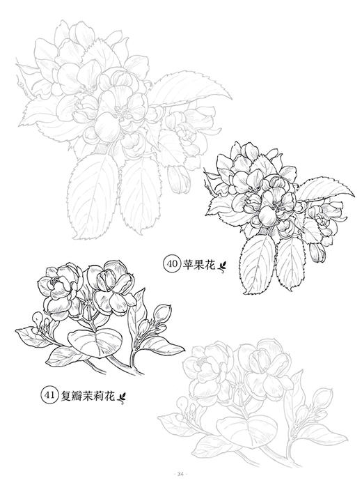 百花描摹集 商品图9