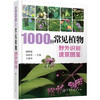 1000种常见植物野外识别速查图鉴 商品缩略图1