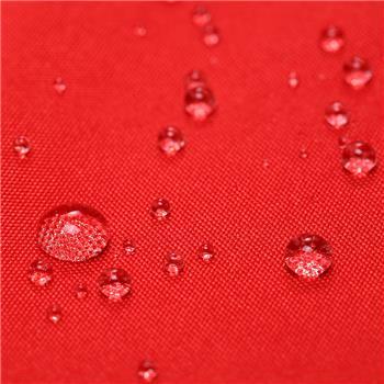 齐心 B1032 国旗 红色一个 商品图2