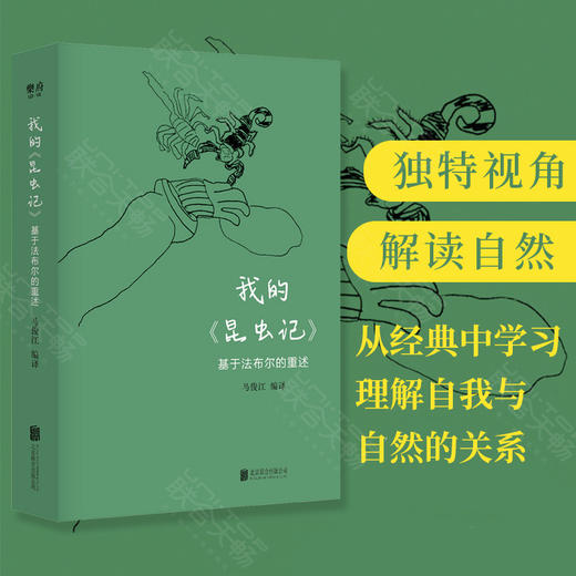 我的《昆虫记》：基于法布尔的重述 商品图0