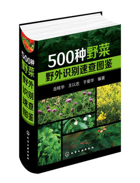 500种野菜野外识别速查图鉴  王以忠 于爱华中医养生保健书籍大全自然科学 生物科学 植物学健康饮食养生食谱书畅销