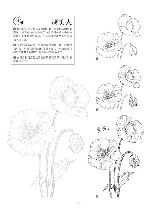 百花描摹集 商品图4