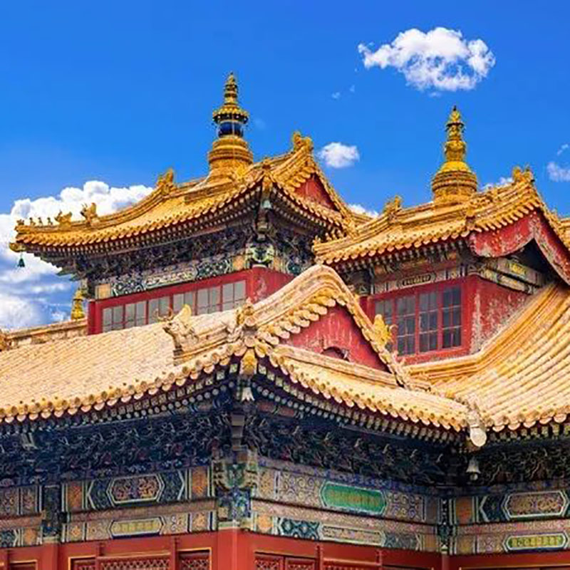 11.1,11.9,11.16,11.22上午爱上北京【柔而能方，直而能敬——北京的皇家佛教寺院雍和宫】