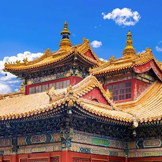 11.1,11.9,11.16,11.22上午爱上北京【柔而能方，直而能敬——北京的皇家佛教寺院雍和宫】 商品图0